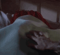 fright night horror GIF by absurdnoise