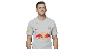 Football Thumbs Down Sticker by FC Red Bull Salzburg