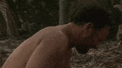 GIF by Giphy QA