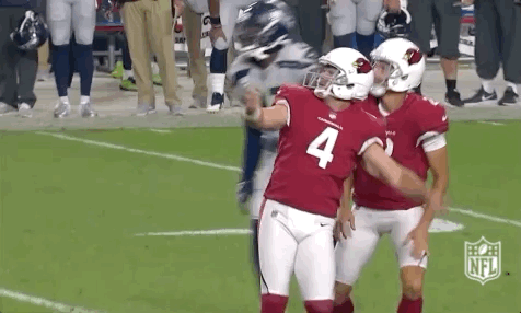 2018 Nfl Football GIF by NFL