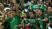 mexico bandera GIF by MiSelecciónMX