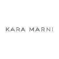 Shine Silver Sticker by Kara Marni