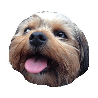 tongue STICKER by imoji