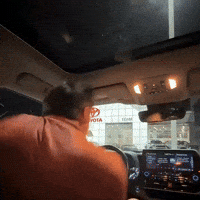 Dancing In Car GIF