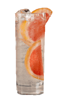 Refreshing Horse Racing Sticker by Ascot Racecourse