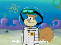 season 4 GIF by SpongeBob SquarePants