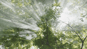 3D Animated Venti GIF
