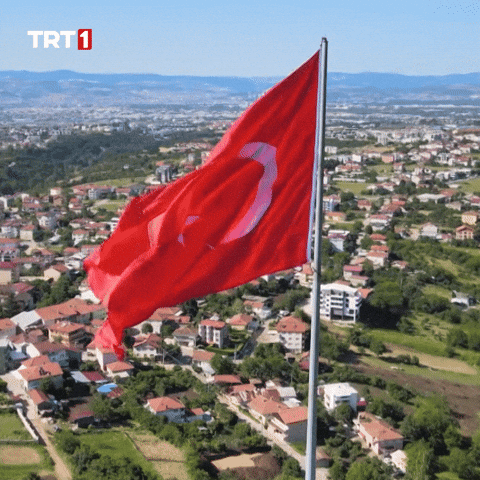 Turkey Turkish GIF by TRT