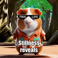 Strength Stillness GIF by Guinea Gambino