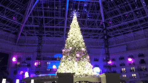 jabbatheputter giphyupload christmas xmas holidays GIF