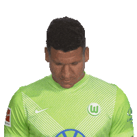Vfl Wolfsburg Smile Sticker by Bundesliga