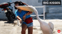 Why Animals Make The Best Friends