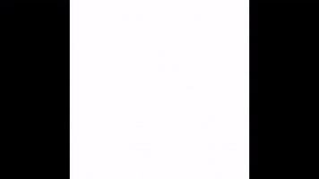 ALiSYSTEMS party team festa security GIF