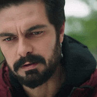 Legacy Emanet GIF by Eccho Rights