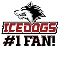 Bozeman Montana Hockey Sticker by BozemanIcedogs