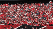 GIF by Temple Owls
