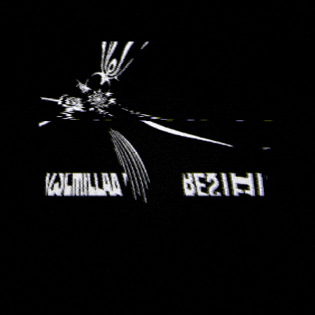 Coffee GIF by Semilla Agreste