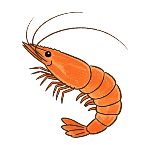 Shrimp Seafood Sticker by Rikimaru_Group