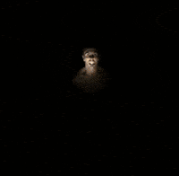 moth GIF