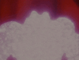 Face Transformation GIF by Pokémon