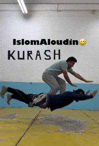 Ufc Mma GIF