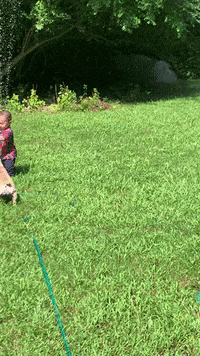 Nico Jam Cremy GIF by namslam