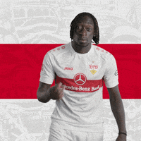 I See You Football GIF by VfB Stuttgart