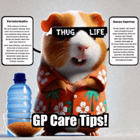 Guinea Pig Social Media Trends GIF by Guinea Gambino