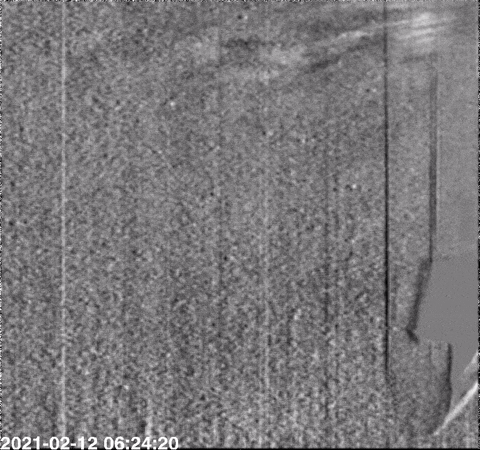 bartomiejsieja giphyupload GIF