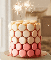 cake GIF