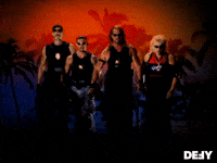 Dog The Bounty Hunter