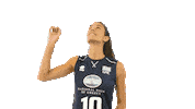 HellenicVolleyballFederation volleyballgr polinopoulou Sticker