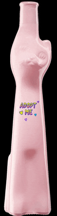 moselland_eg cats katzen GIF
