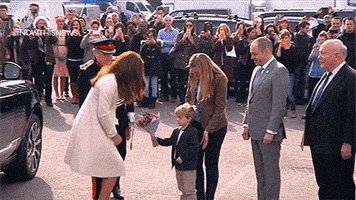 Downton Abbey News GIF by NowThis