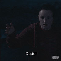 Come On Wtf GIF by HBO