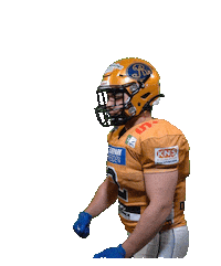 Football Sport Sticker by Dresden Monarchs