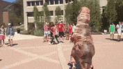 GIF by NetflixES
