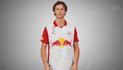 Box Var GIF by FC Red Bull Salzburg