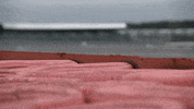 Formula 1 Mexico GIF by Red Bull Racing