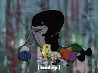 season 1 GIF by SpongeBob SquarePants