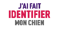 I-CAD dog cute dog chien identification Sticker