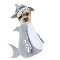 dog baby Sticker by MISO PUP