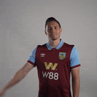 Premier League Smile GIF by Burnley Football Club