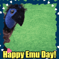 Big Bird GIF by TeaCosyFolk