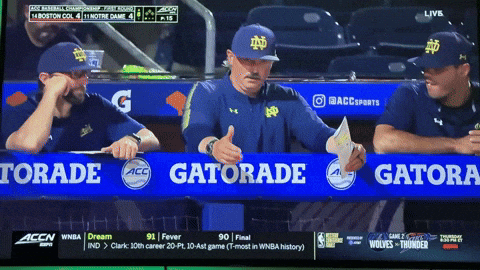 mattfreeman  GIF