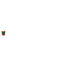Icedcoffee Sbux Sticker by Starbucks