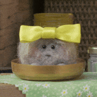 Grooming New Look GIF by Tweedy & Fluff