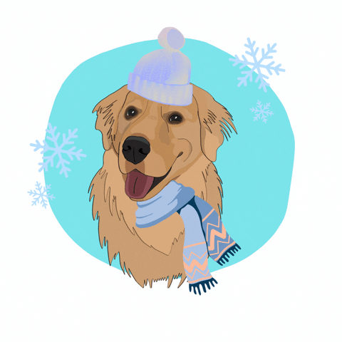 Choppergolden frio neve choppergolden GIF