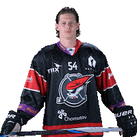 Hokej Sticker by Piráti Chomutov