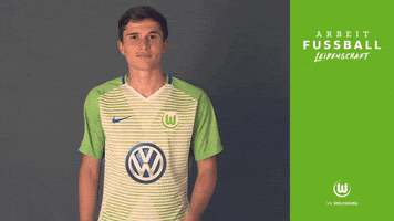 finger you are right GIF by VfL Wolfsburg